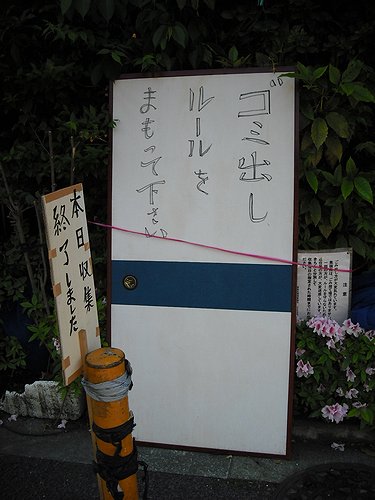 00241.jpg