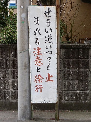 00424.jpg