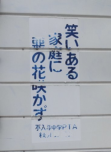 00453.jpg